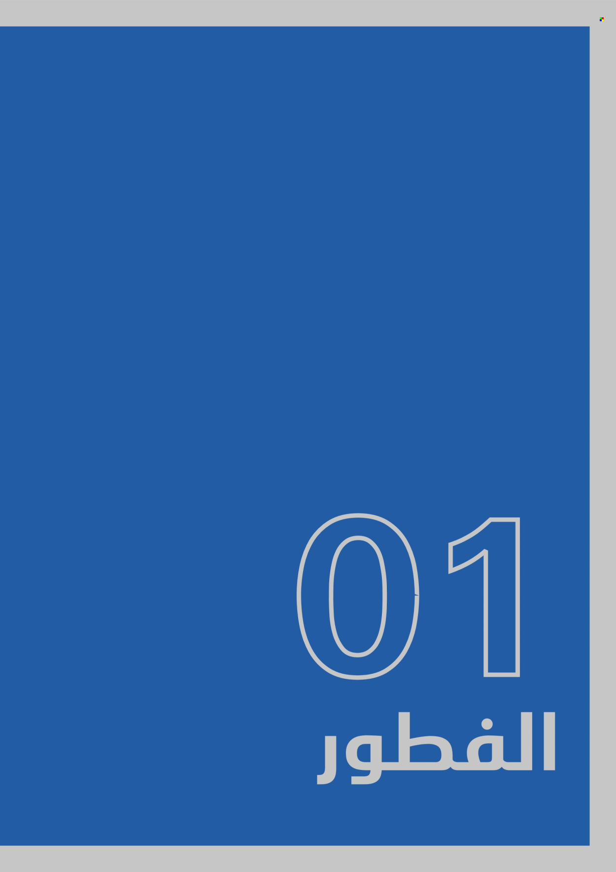 Carrefour offer.