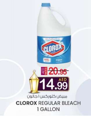 CLOROX REGULAR BLEACH 1 GALLON